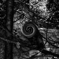 MOON & STARS / NUMB - Single - SARM?