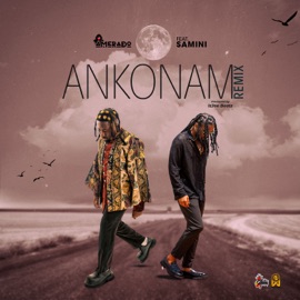 Ankonam (Remix) Amerado & Samini