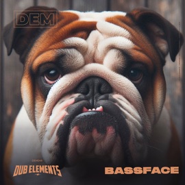 Bassface Dub Elements