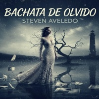 Bachata De Olvido - Single - Steven Aveledo