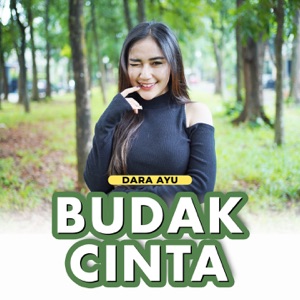 Bucin (Budak Cinta) Album Art