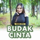 Bucin (Budak Cinta)