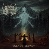 Album cover for Valiant (Instrumental Version) by Inhuman Architects