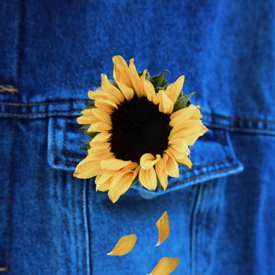 Sunflower - Single