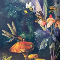Flora - Single - CoryaYo