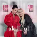 Akıllı Ol