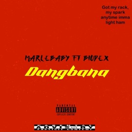 Dangbana (feat. MarleBaby) Biodex