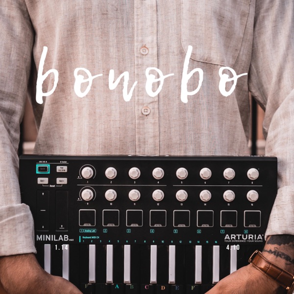 Bonobo