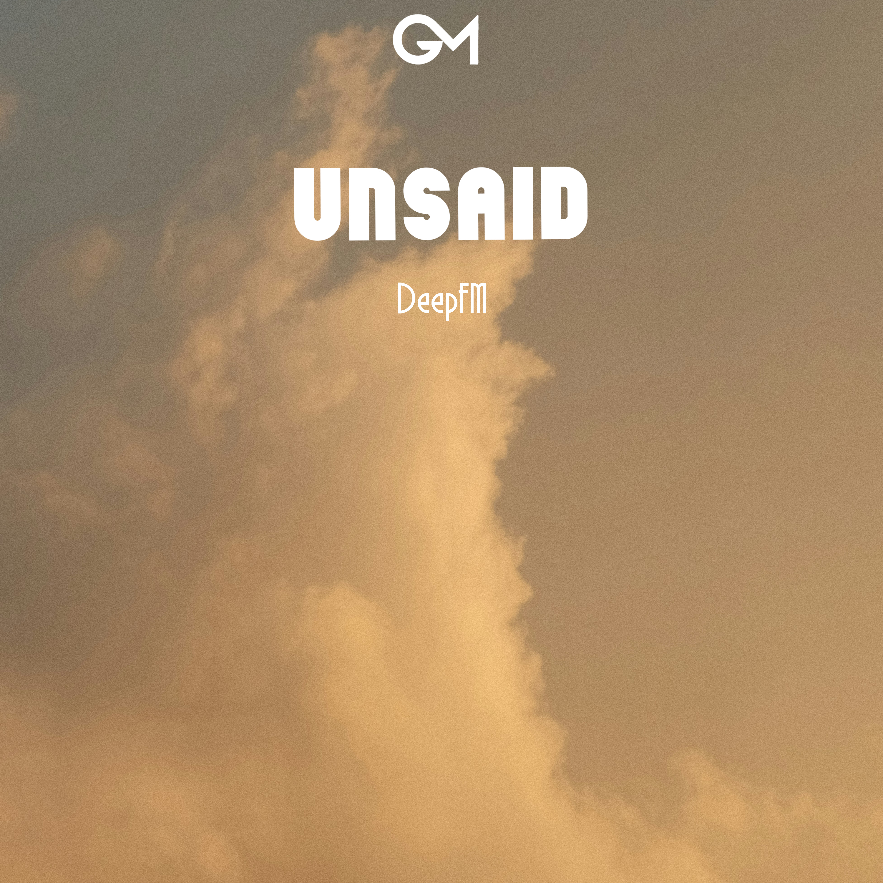 Unsaid - Single
