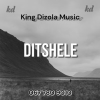 Ditshele (feat. Spitjero) - Single - Dizola 47