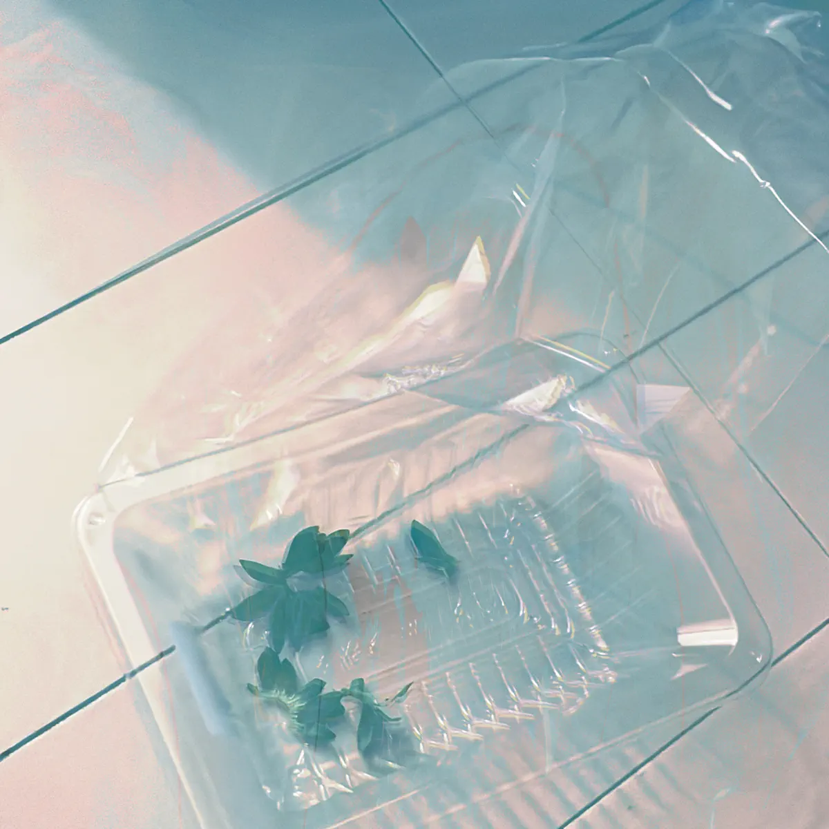 asmi - あっくん - Single (2024) [iTunes Plus AAC M4A]-新房子