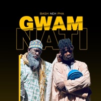 Gwamnati - Single - BASH NEH PHA