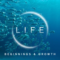 Life - Beginnings and Growth - John Rowcroft