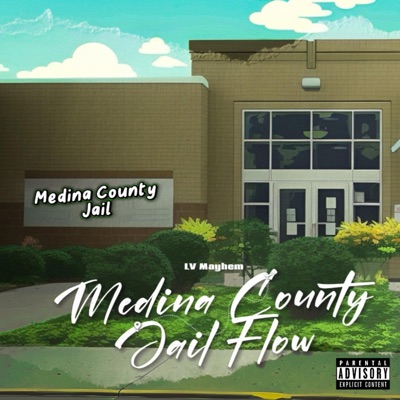 Medina County Jail Flow - Single