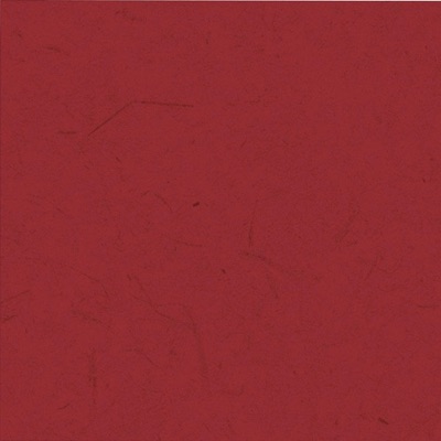 There Is a Night Where Raiders Rise - Single