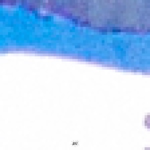 Nocturne (winter) - Single