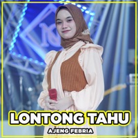 Lontong Tahu - Single - Ajeng Febria