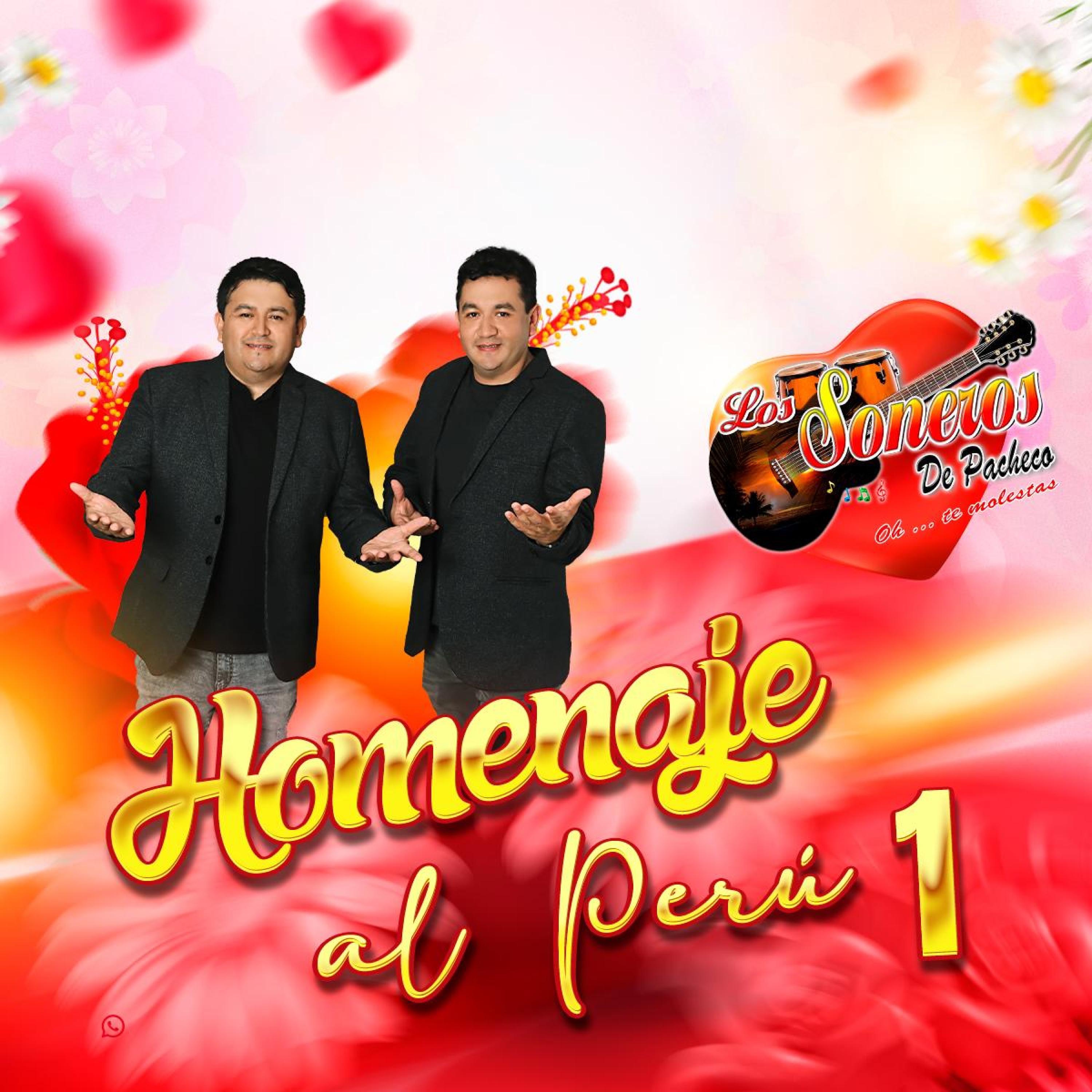 Mix Homenaje al Perú 1 - Single