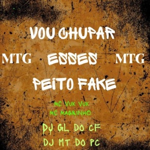 Mtg vou chupa esses peito fake (feat. DJ MT DO PC)