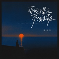 听说你最近受了好多委屈 - Single - 李发发