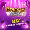 MIX VASO DE CERVEZA - Single
