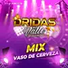 Mix Vaso De Cerveza