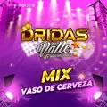 Mix Vaso De Cerveza