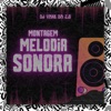 Montagem Melodia Sonora - Single