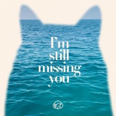 I′m still missing you artwork