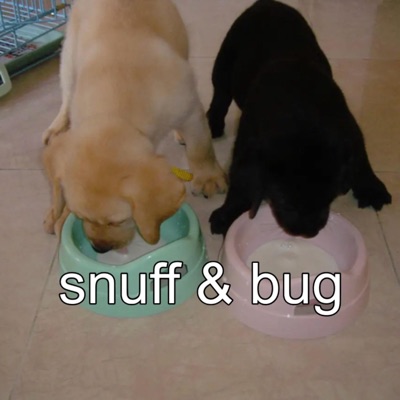 liveleak (feat. bug) - Single