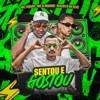 Sentou e Gostou - Single