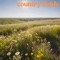 Simple Song (Southern Family Remix) - John Paul White lyrics