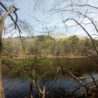 hamburg - Single - HOMIECIDEATL