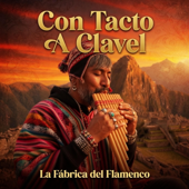 Con Tacto A Clavel