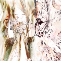 bloodtransfusion - Single - #убежищеангела