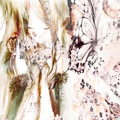 bloodtransfusion - Single