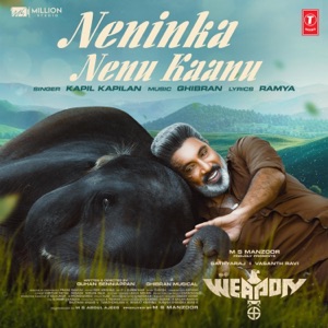 Neninka Nenu Kaanu (From 