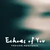 Echoes of You