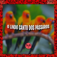 O Lindo Canto dos Pássaros - Single - DJ Talala, DJ VL7 & Mc Vuk Vuk
