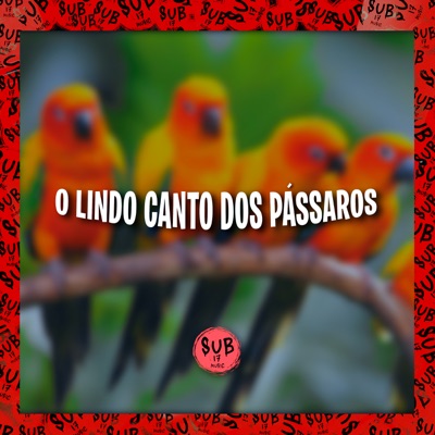 O Lindo Canto dos Pássaros - Single