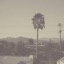 Manic Panic (BLUNT) - Single
