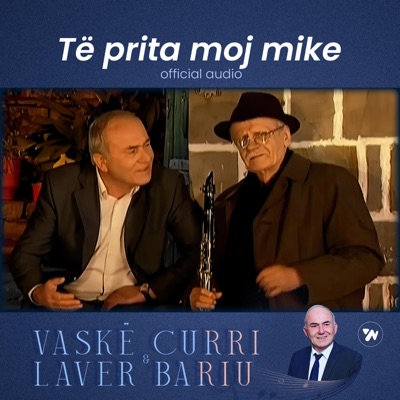 Te prita moj mike (feat. Laver Bariu) - Single
