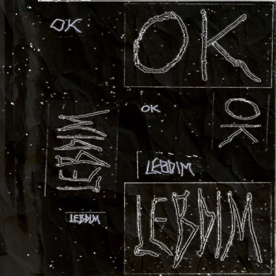 OK / LEBDIM (feat. Disloc8, Jush & VAN€) - Single