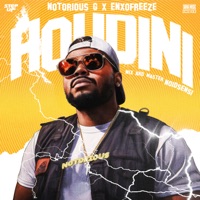Houdini - Single - Notorious G, ENXOFREEZE & NOIDSENSI