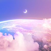 Feel Again - Single - Shierro, Hoffy Beats & Majko