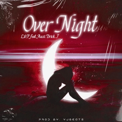 OverNight (feat. AUXI & Drick J) - Single
