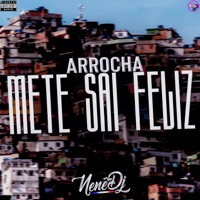 Arrocha Mete Sai Feliz - Single - Nene DJ, MC Gibi & Mc Magrinho