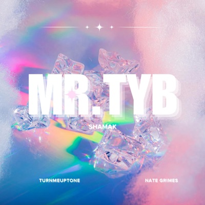 MR.TYB - Single