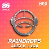Raindrops (feat. GIA) [Klub Mix] artwork