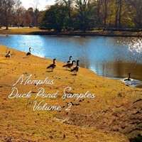 Memphis Duck Pond Samples Volume 2 - DJ CBee SUPREME